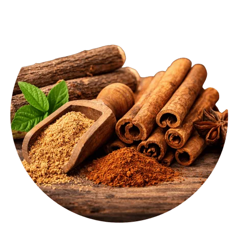 Brain Circulation & Oxygen Support